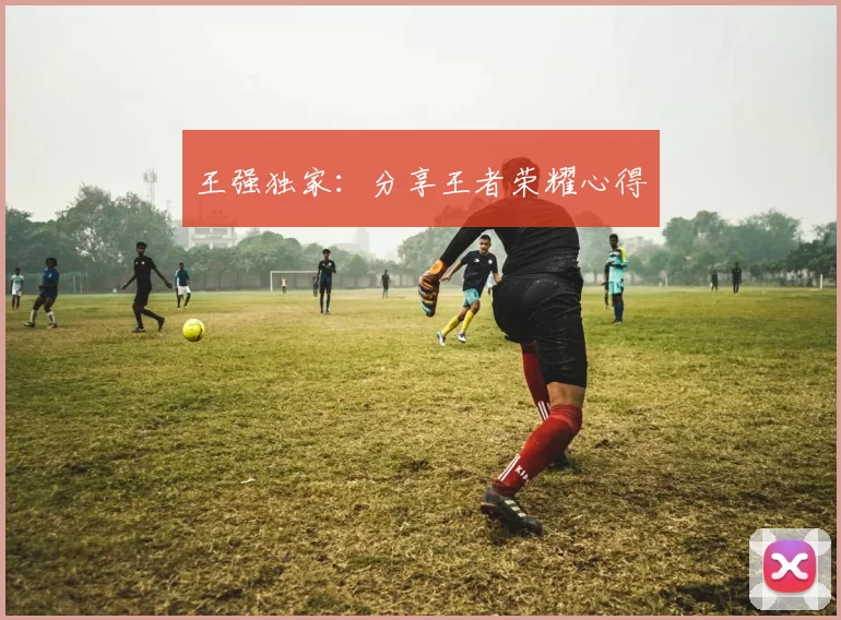 王强独家：分享王者荣耀心得