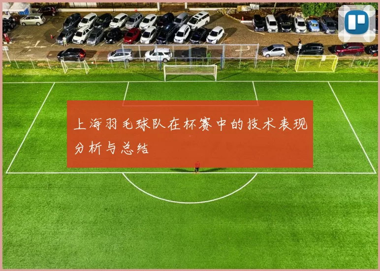 上海羽毛球队在杯赛中的技术表现分析与总结