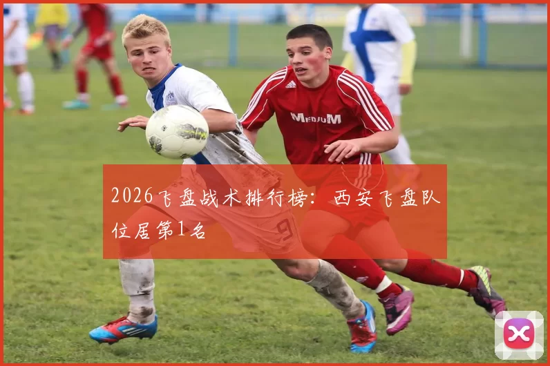 2026飞盘战术排行榜：西安飞盘队位居第1名