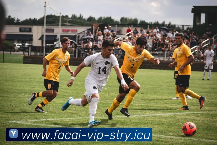 乐鱼体育平台生态图