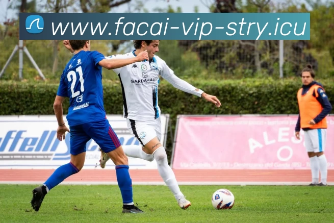 乐鱼体育APP 封面图